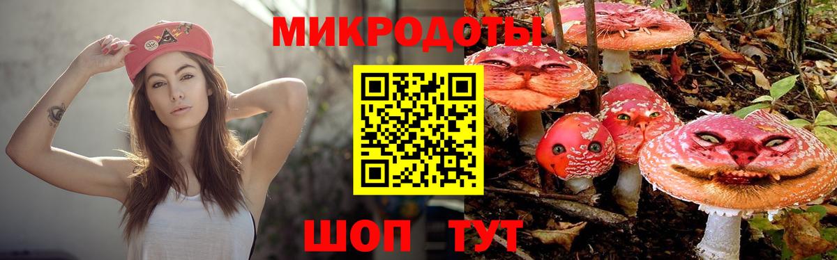 Псилоцибиновые грибы MAGIC MUSHROOMS Гулькевичи